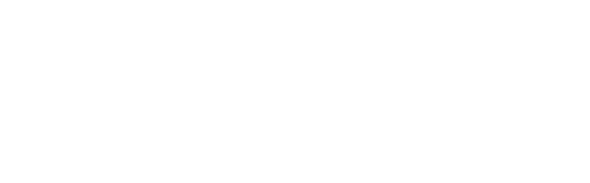 Aviseco Systems